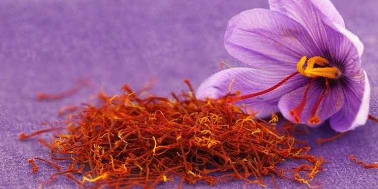 Health Benefits Of Saffron In Our Daily Life Ayurveda