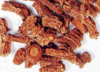 Sarivadyasavam-Sugandhi-Veru-Roots-Saribha-Indian-Sarsaparilla