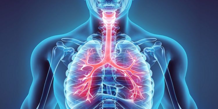 ayurvedic-treatment--for-respiratory-diseases-and-copd