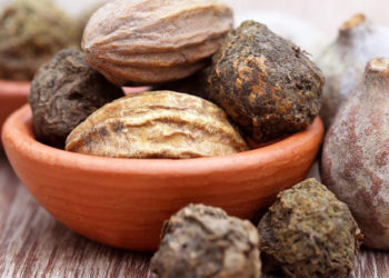 haritaki-sreepathy-ayurveda