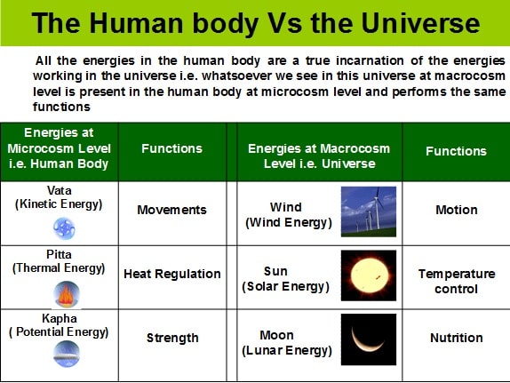 human-body-universe